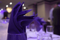Clear Tent Rentals Los Angeles